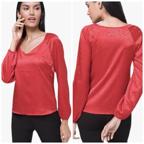 WHBM Animal Print Long Sleeve Blouse Sz S - Picture 1 of 13